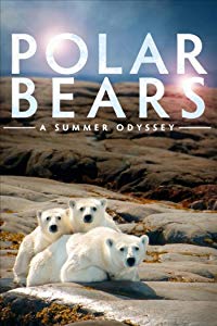 Nonton Polar Bears: A Summer Odyssey (2012) Subtitle ...